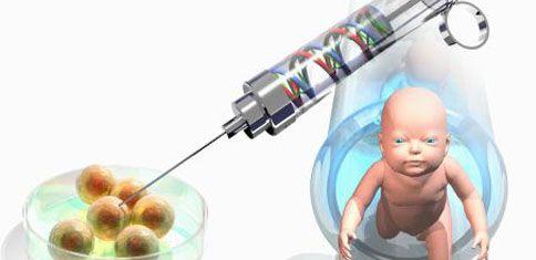 国外生育成本分析与预算规划