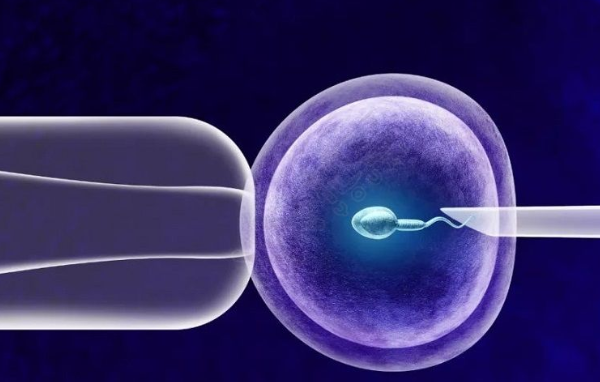 回输试管标准操作流程规范解读