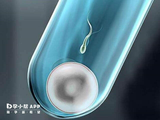 国内试管婴儿成功率比较分析