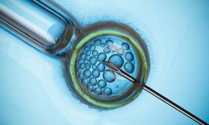 四川省辅助生殖技术管理与应用