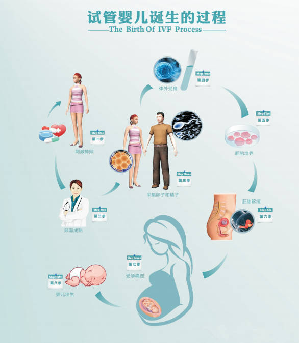 国外试管婴儿医院选择策略研究