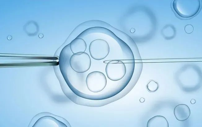 国家政策解读：免费孕前检查项目解析