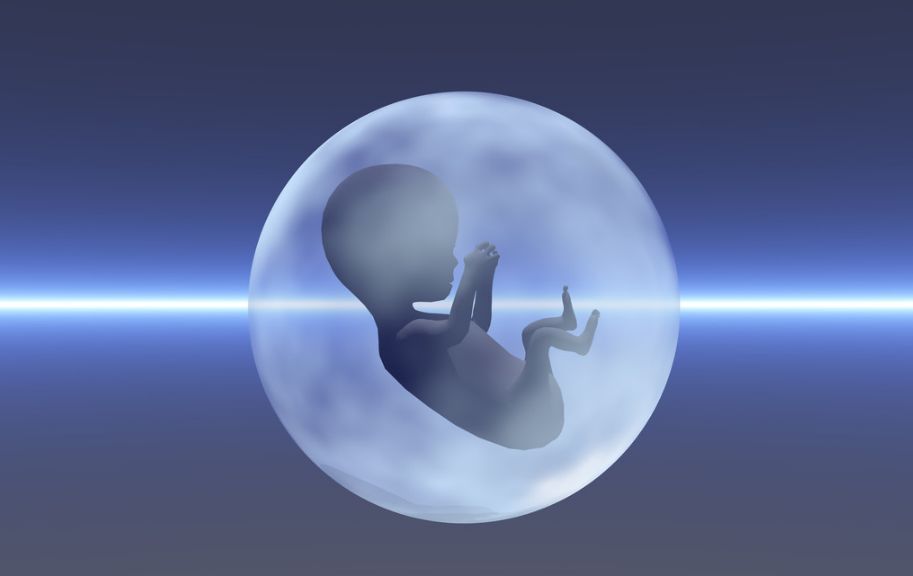 国内试管婴儿医疗机构比较