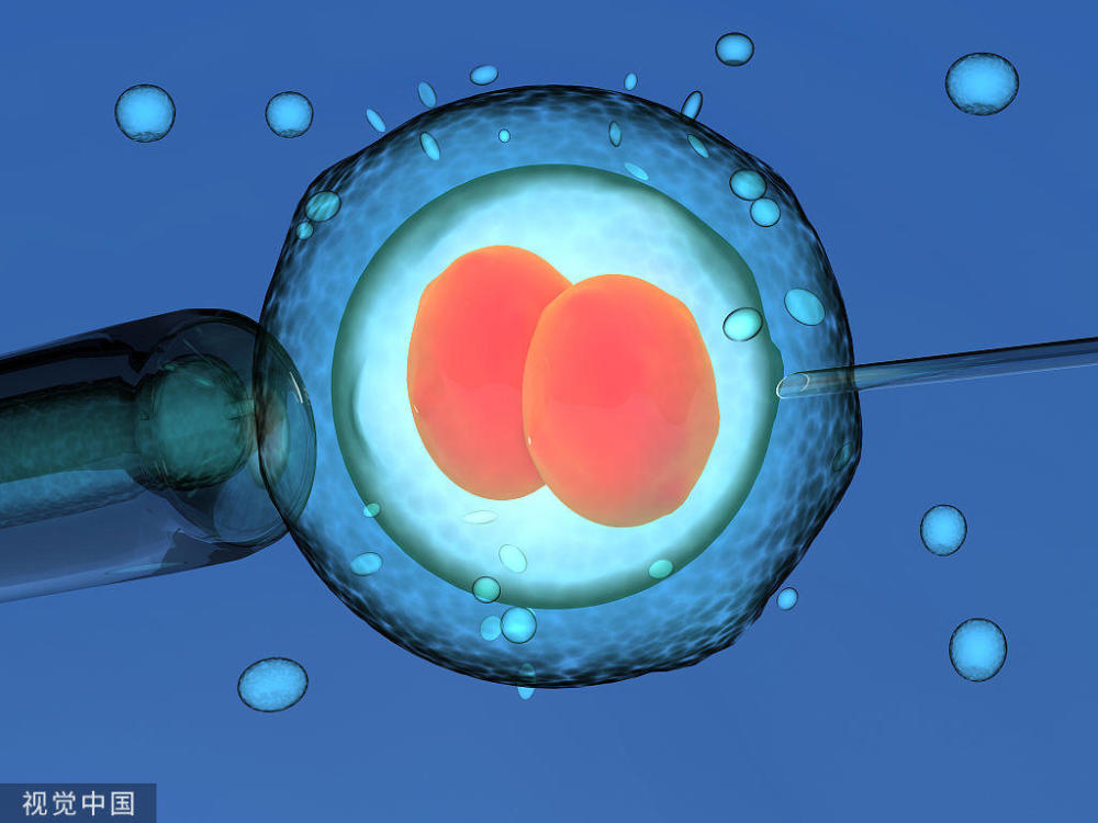 四川地区人类辅助生殖技术医院分布研究