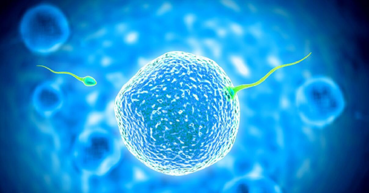 备孕助孕策略  叶酸补充剂量探讨