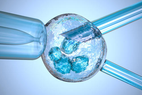 基因检测费用评估