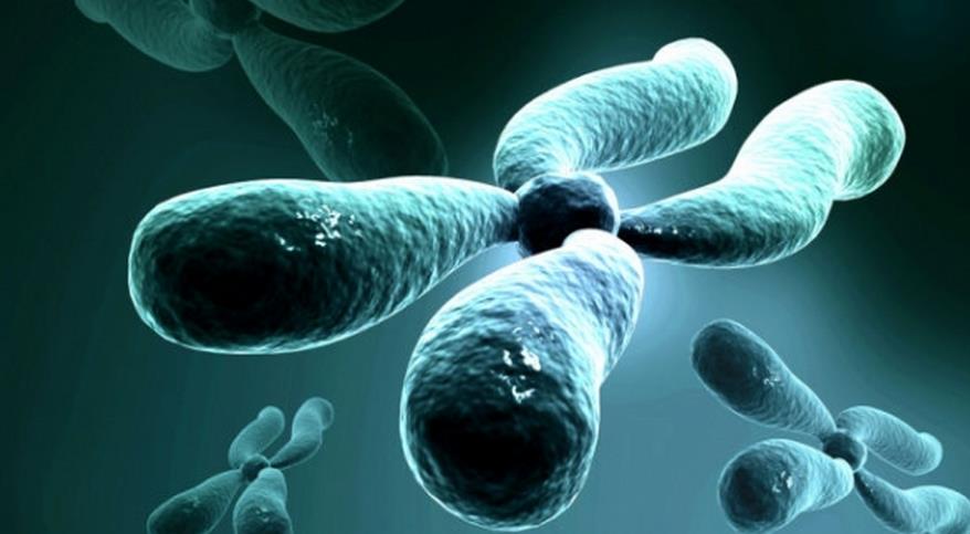 在线咨询医生平台