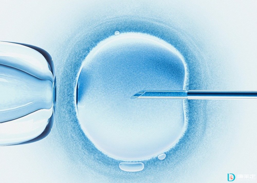 备孕一个月成功秘诀：优化卵子质量