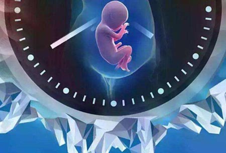 国家对辅助生殖技术的监管