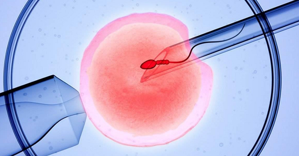 城市环境与不孕不育发生率的相关性研究